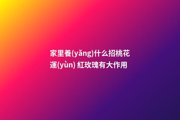 家里養(yǎng)什么招桃花運(yùn) 紅玫瑰有大作用